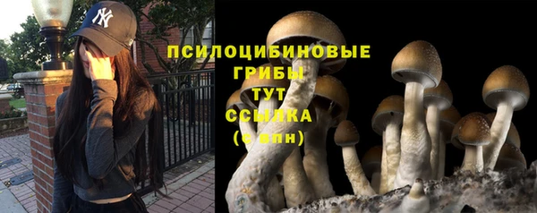 мдма Бородино