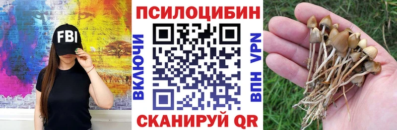 Псилоцибиновые грибы Psilocybine cubensis  omg ссылки  Малаховка  наркошоп 